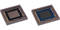 SONYƫD